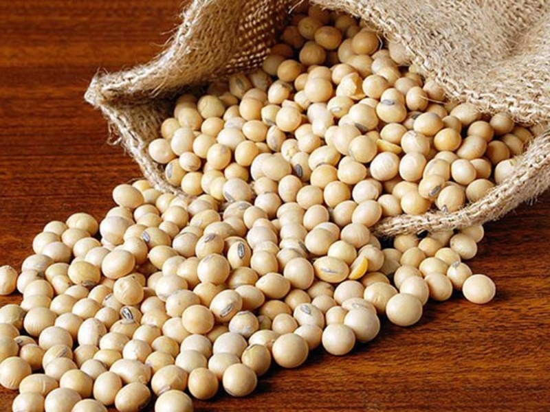 Hạt đầu nành sấy là loại hạt dinh dưỡng bình dân, ngon bùi (Nguồn: thucpham.com)