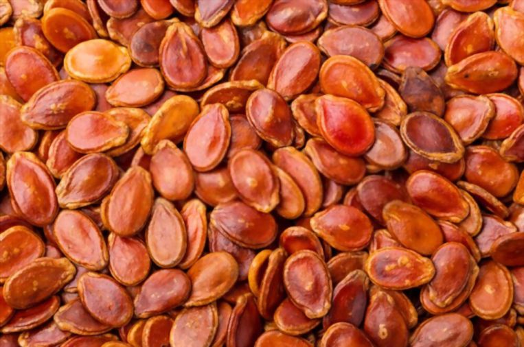 hạt dưa đỏ Thái Sơn
