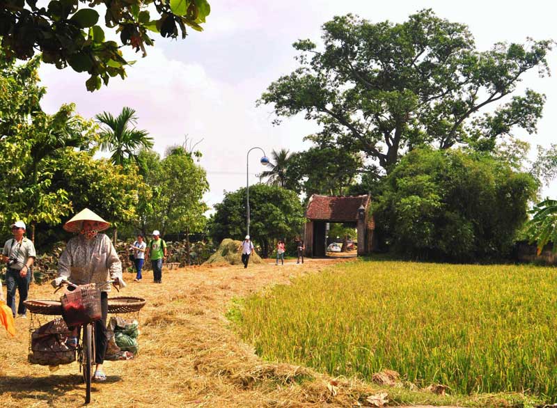 Hình ảnh làng quê Việt Nam 012