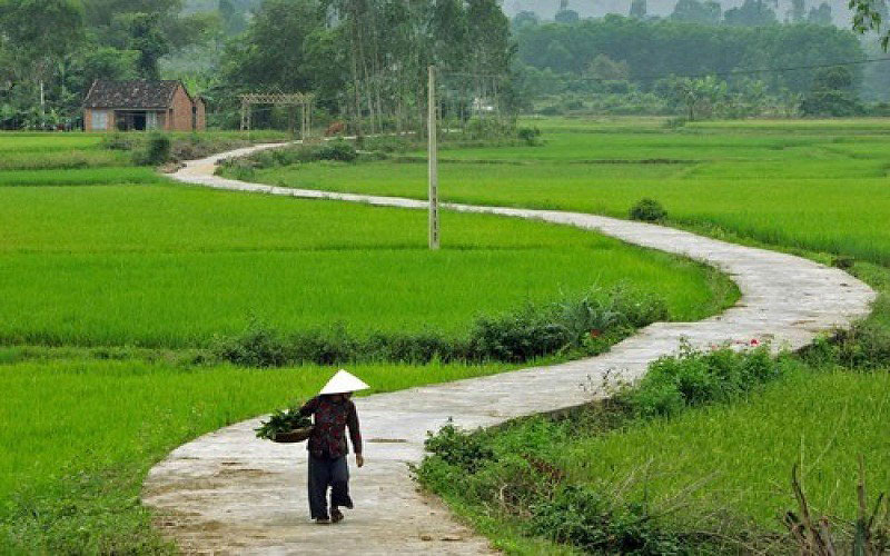 Hình ảnh làng quê Việt Nam 015
