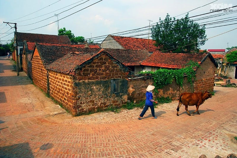 Hình ảnh làng quê Việt Nam 021