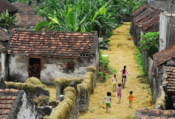 Hình ảnh làng quê Việt Nam 09