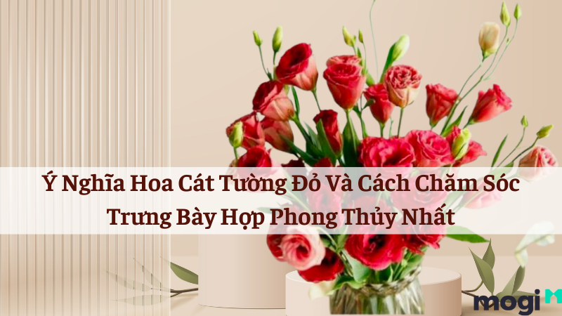 Ý nghĩa hoa Cát Tường đỏ? Biểu tượng cho tình yêu sâu đậm | Mogi.vn