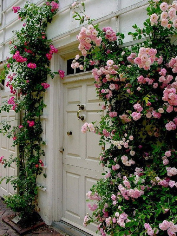 Những cổng nhà có hoa hồng leo lãng mạn đẹp đến &quot;lịm tim&quot; - Ảnh 9.