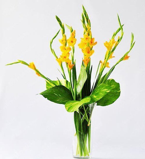 Bạn có thể kết hợp hoa lay ơn với một số loại lá xanh để tạo nên sự bắt mắt.