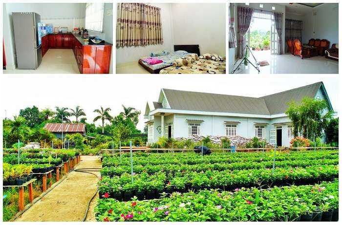 homestay-dong-thap-FlowerVillage