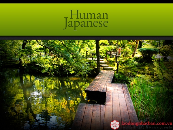 phần mềm human japanese