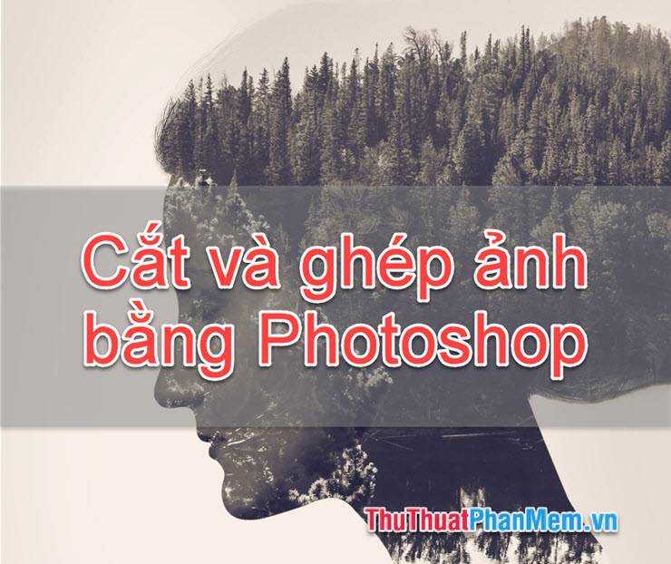 Hướng dẫn cắt, ghép ảnh trong Photoshop