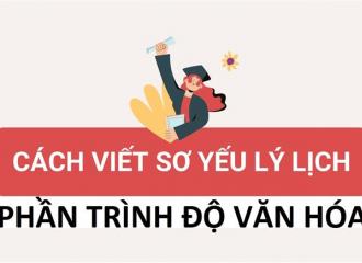 Trình độ văn hóa trong sơ yếu lý lịch trình bày thế nào?