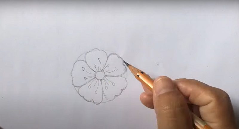 Cách vẽ tranh hoa đào bước 8