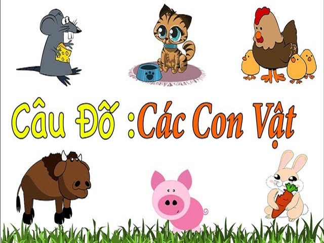 Câu Đố Về Con Ong, Con Chim, Câu Đố Vui Về Đàn Ông Hay Nhất …