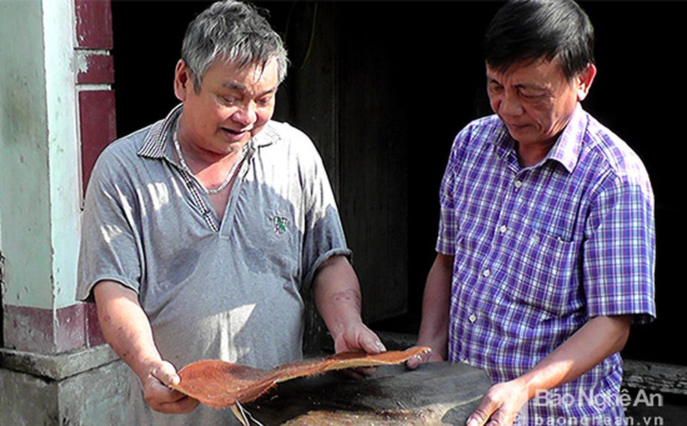 Da làm trống được chọn bằng da Trâu, bò già, không qua ướp muối hay bất kỳ loại hóa chất nào, lược hết phần bạc nhạc và phơi thật khô. Ảnh: Anh Tuấn