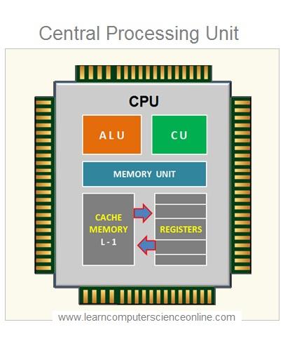 Central Processing Unit | What Is a Computer Processor ...