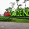 Trồng cây Tử Đằng cho biệt thự tại Gamuda Garden