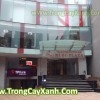 Trồng & Chăm sóc cây xanh cho tòa nhà Ruby Plaza