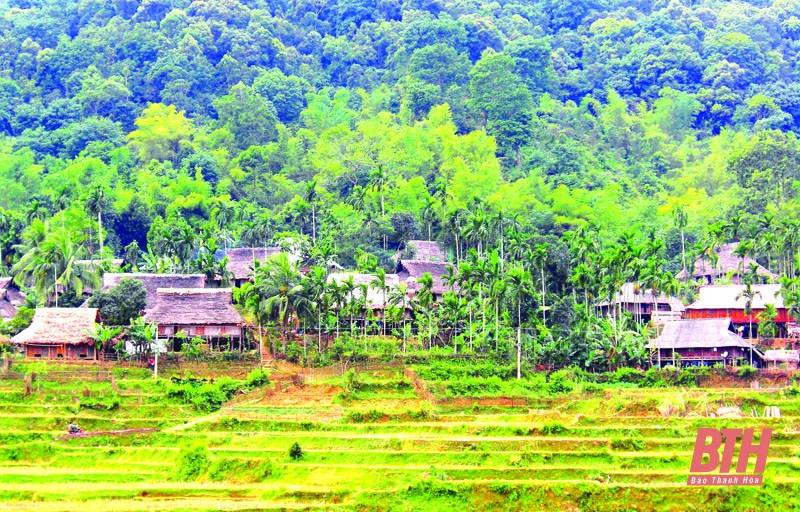 làm nhà sàn bằng ống hút