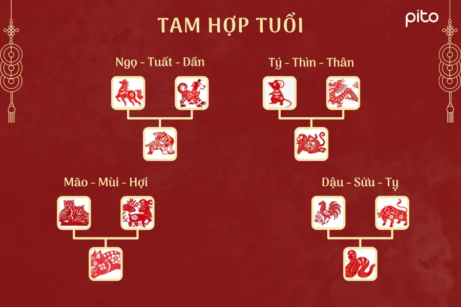 Tam hợp tuổi