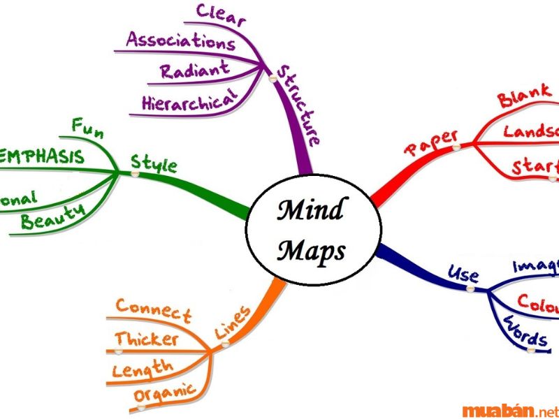 Vẽ sơ đồ tư duy (mindmap)