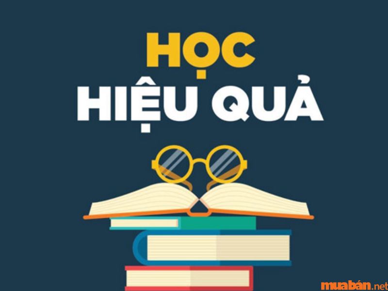 4h30 - 6h00: Thích hợp học các môn lý thuyết