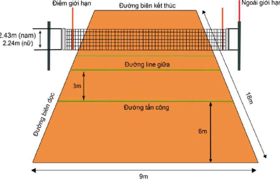 Quy cách bóng chuyền tiêu chuẩn