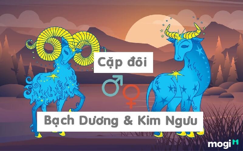 Chuyện tình cảm nam Kim Ngưu và nữ Bạch Dương