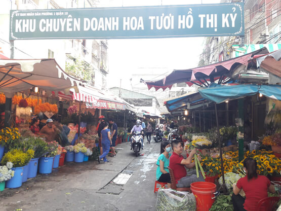 kinh doanh hoa ngày tết