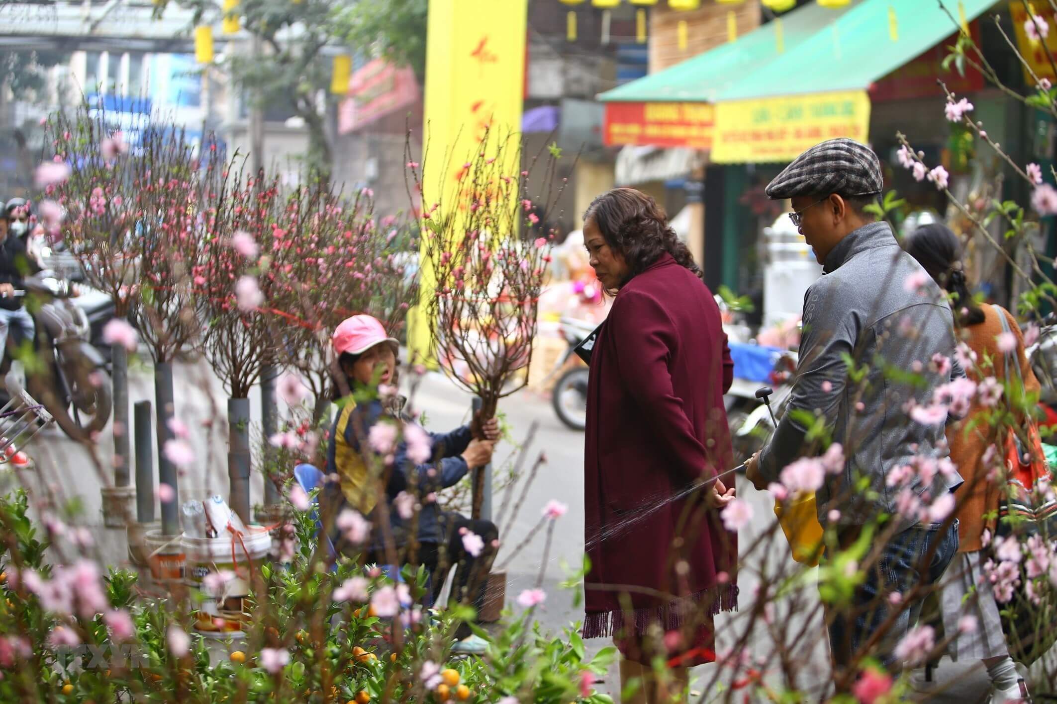 kinh doanh hoa ngày tết