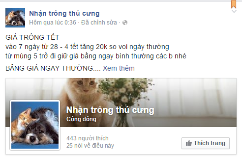 kinh doanh ngày tết