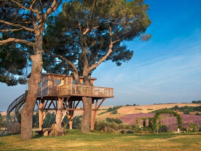 Top 30+ mẫu nhà trên cây đẹp và nổi tiếng nhất trên thế giới