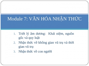 Văn hóa nhận thức Cơ sở văn hóa Việt Nam - Tài liệu text