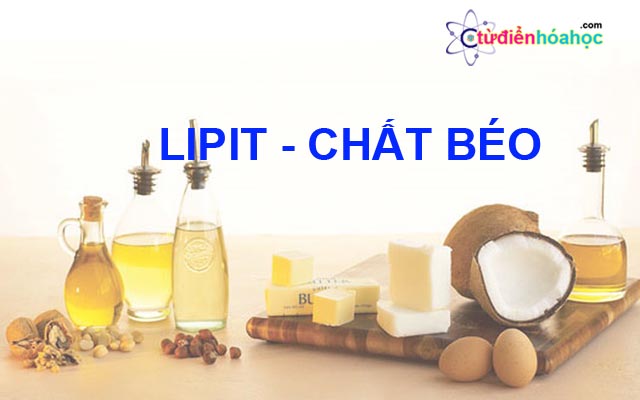 LIPIT – Khái niệm, phân loại, tính chất hóa học và ứng dụng của chất béo