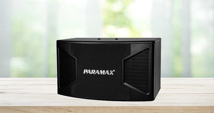 Loa Paramax P-2500