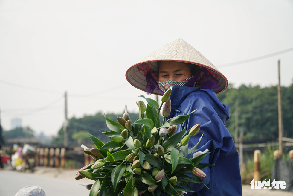 Hoa Tết được giá, người dân làng hoa Tây Tựu, Hà Nội phấn khởi - Ảnh 2.