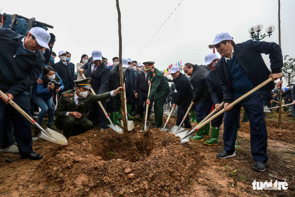 Chủ tịch nước đánh trống phát động Tết trồng cây xuân Nhâm Dần - Ảnh 2.