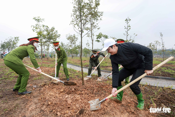 Chủ tịch nước đánh trống phát động Tết trồng cây xuân Nhâm Dần - Ảnh 5.