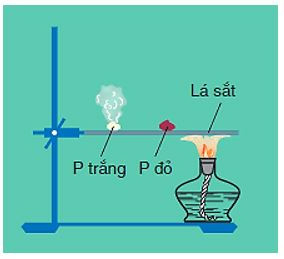 Photpho (Lý thuyết + 35 bài tập có lời giải) (ảnh 4)