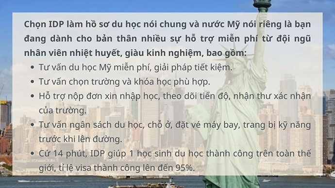 Lựa chọn IDP