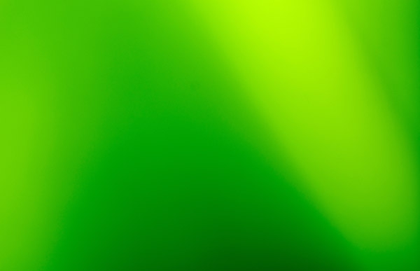 [99+] mẫu sơn nhà màu xanh lá cây nội & ngoại thất tươi đẹp nhất