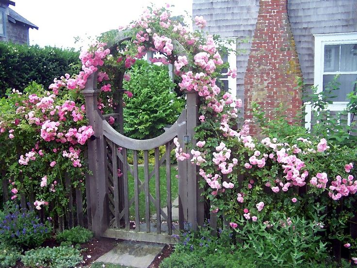 Những cổng nhà có hoa hồng leo lãng mạn đẹp đến &quot;lịm tim&quot; - Ảnh 3.