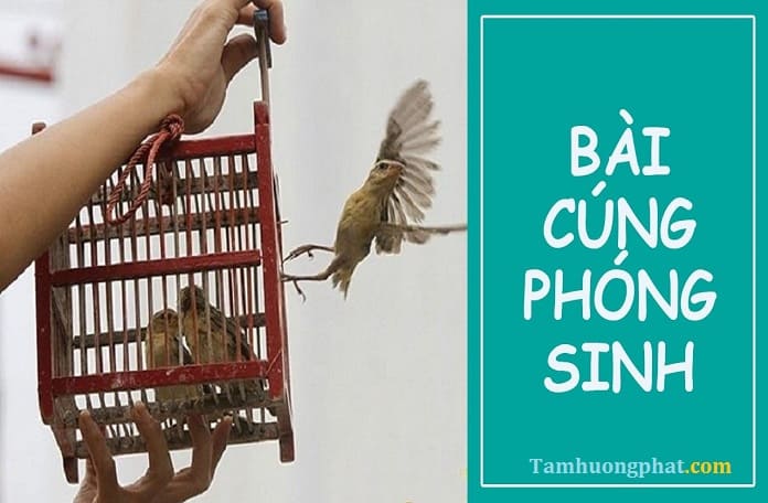 Nghi thức, bài cúng phóng sinh đúng cách và đơn giản