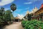 Ngôi chùa nào sở hữu nhiều Xá lợi Phật nhất Việt Nam?