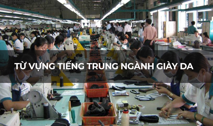 Tổng hợp từ vựng tiếng Trung ngành giày da | THANHMAIHSK