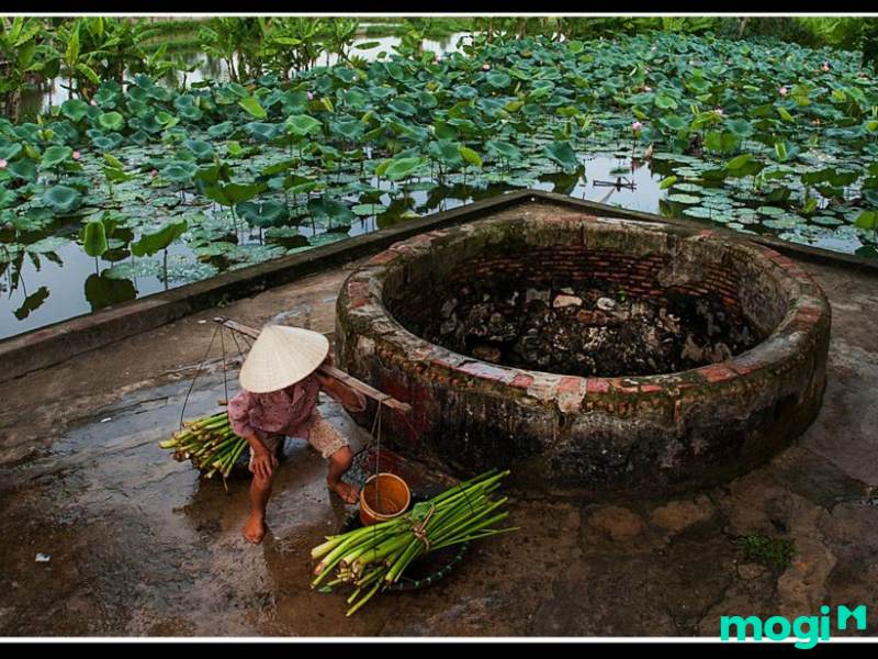 nhà có tang nên kiêng gì vào ngày tết