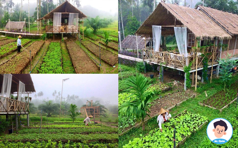 Những ngôi nhà có vườn rau đẹp tại Thái Lan