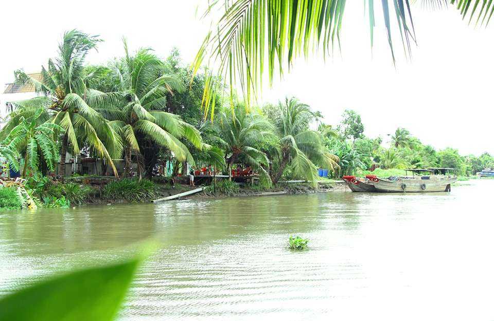 Du lịch xanh Dìn Ký Bình Dương - Địa điểm nghỉ dưỡng lý tưởng cho du khách Sài Gòn (@fanpage)