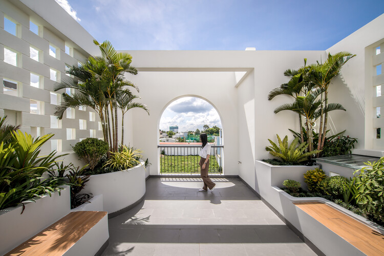 Nhà đẹp lôi cuốn với nhà phố nhiệt đới 3 tầng có thiết kế đẹp như khu nghỉ dưỡng - Ảnh 2.