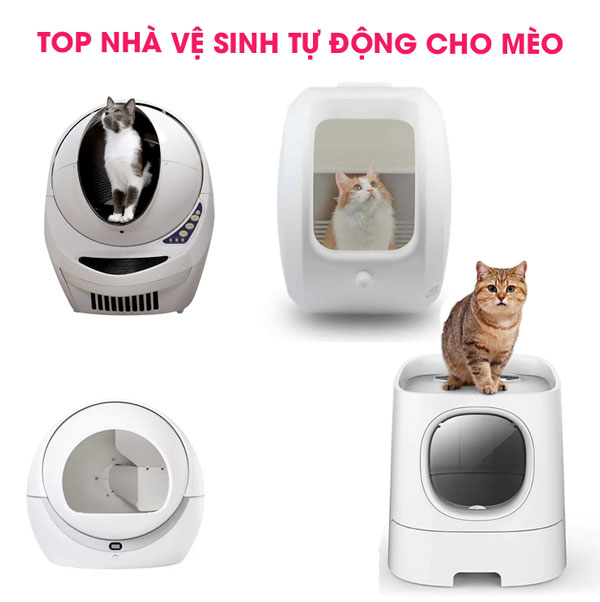 Nhà vệ sinh tự động cho mèo, 6 Mẫu nhà vệ sinh cho mèo