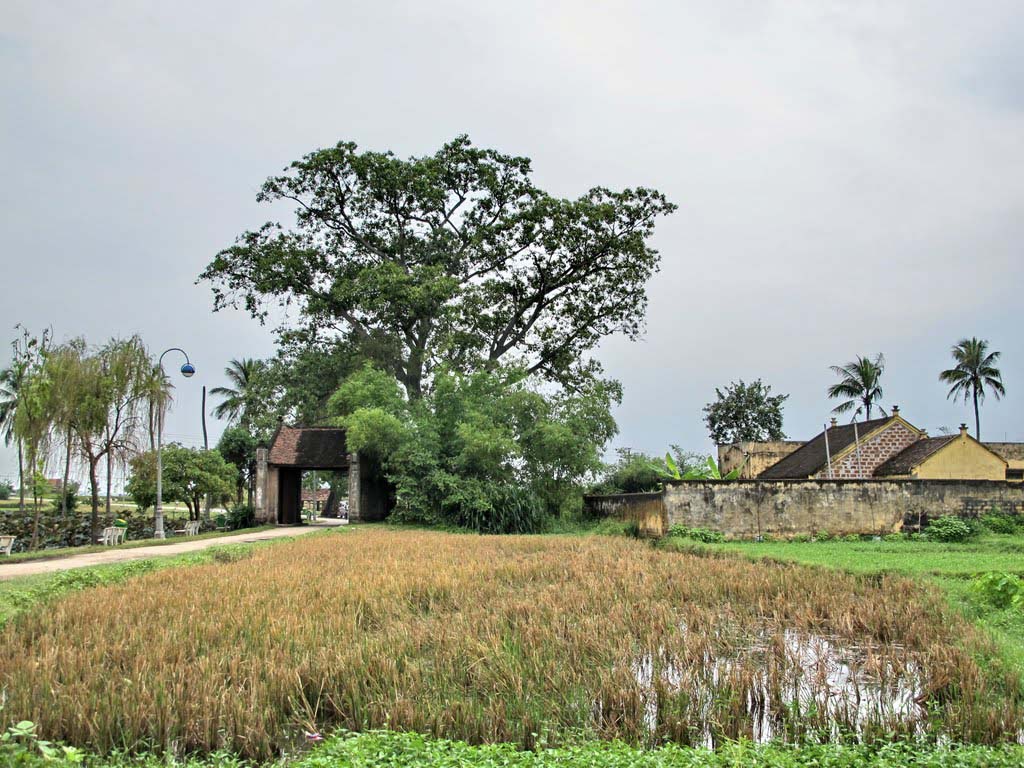 Những hình ảnh đẹp về làng quê Việt Nam