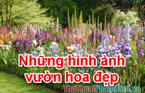 nhà vườn hoa đẹp