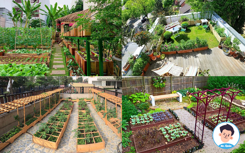 10 mẫu ngôi nhà có vườn rau đẹp nhất 2021 •